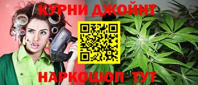мяу мяу мука Когалым